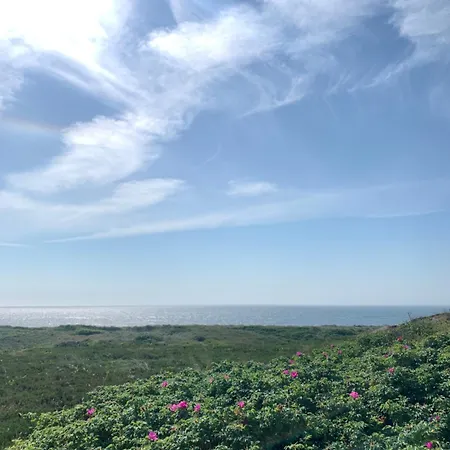 Belvedere Διαμέρισμα *